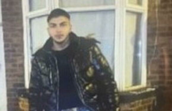 Urgent hunt for man after teenage girl sexually assaulted in BMW | The Sun