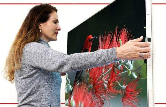 Watch out Samsung! Radical TV offers a new way to watch television