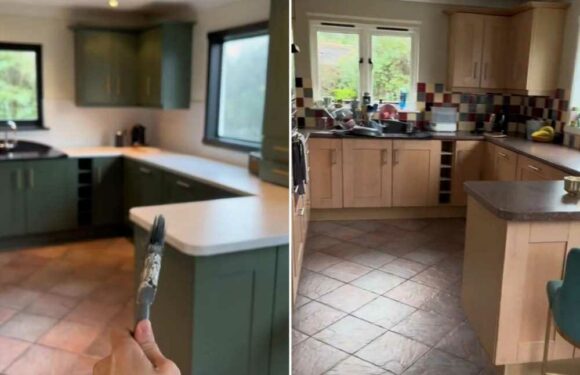 We hated our multi-coloured, dated kitchen so gave it a mega refresh – people can't believe how posh it looks now | The Sun