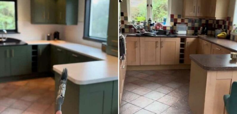 We hated our multi-coloured, dated kitchen so gave it a mega refresh – people can't believe how posh it looks now | The Sun