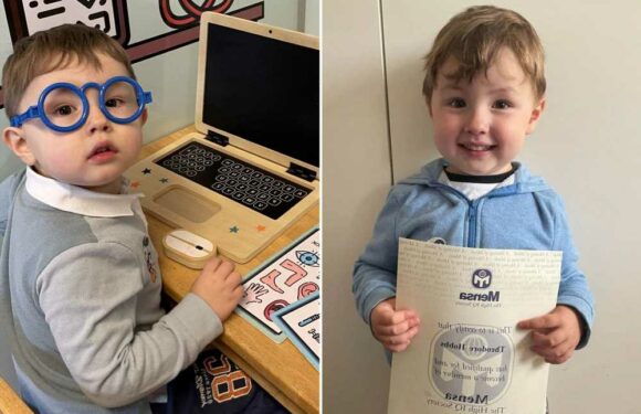 We're parents of Britain's smartest toddler – he taught HIMSELF to read at age two and has IQ of 139 | The Sun