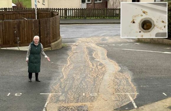 We've had to flee after 'puddles of poo' appeared in our homes – our building manager isn't doing anything | The Sun