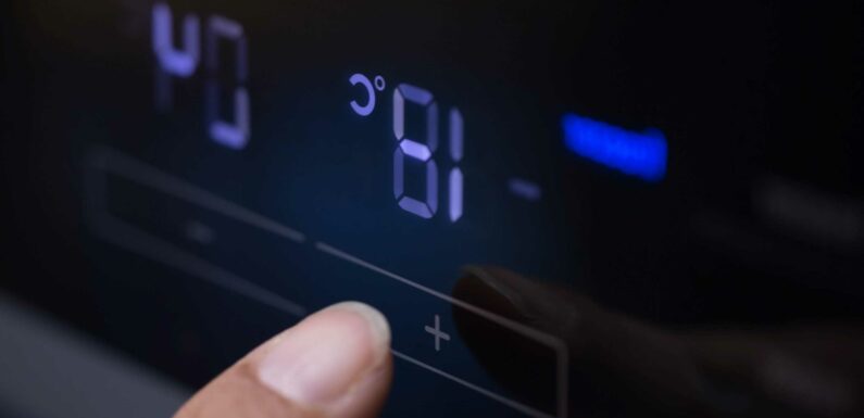 What temperature should my fridge and freezer be? | The Sun