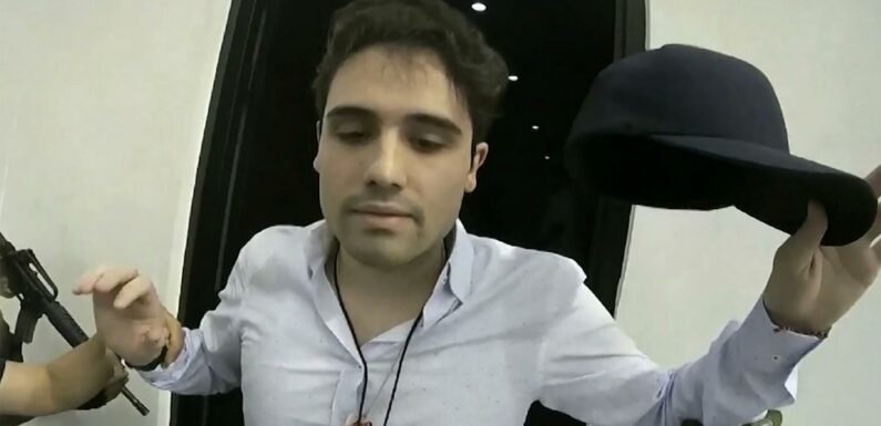 Who is El Chapo’s son Ovidio Guzman Lopez? – The Sun | The Sun - I Know ...