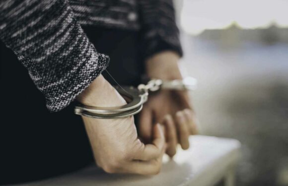 Who was Wolfgang Priklopil and how did he die? | The Sun