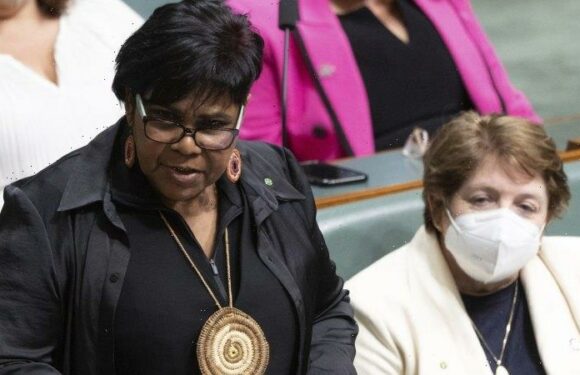 Why an Indigenous Voice to parliament would have helped in Alice Springs
