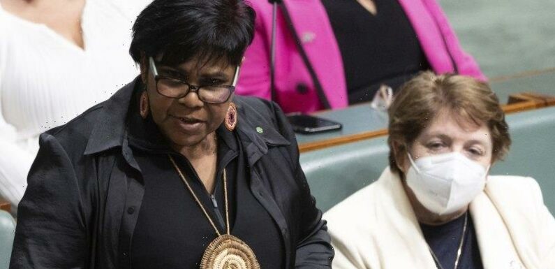 Why an Indigenous Voice to parliament would have helped in Alice Springs