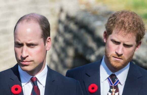 William lunged at Harry after Prince Philips funeral, Dukes memoir claims