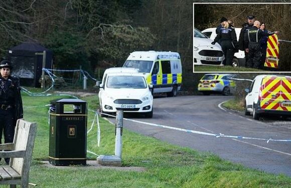 Woman, 28, mauled to death by pack of eight dogs is named