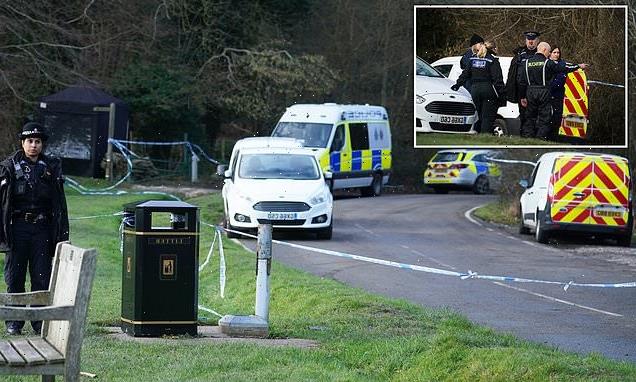 Woman, 28, mauled to death by pack of eight dogs is named