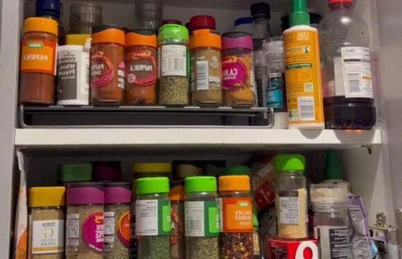 Woman shares a hack for making her spice cupboard look much neater – but people are all saying the same thing | The Sun