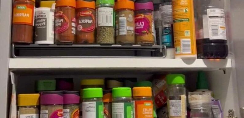 Woman shares a hack for making her spice cupboard look much neater – but people are all saying the same thing | The Sun