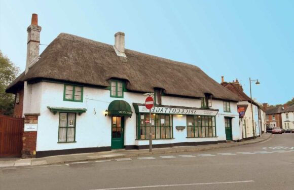 Woman 'whose husband died nine years ago' makes shock discovery in Indian restaurant's Facebook photo | The Sun