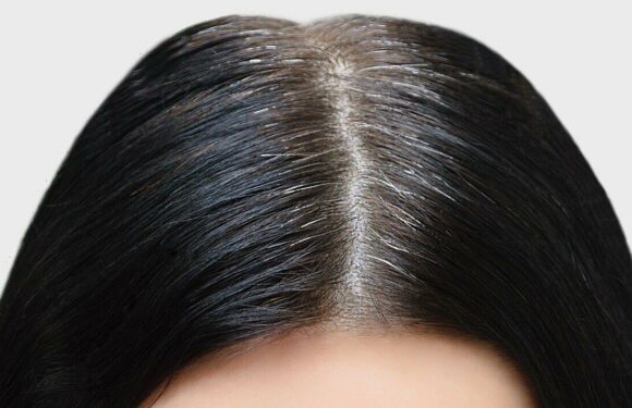 Women rave over astonishing method to cover grey hair in minutes