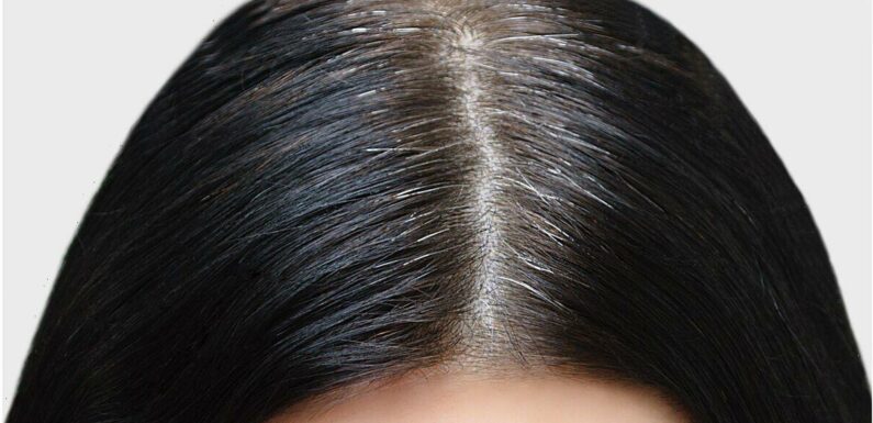 Women rave over astonishing method to cover grey hair in minutes