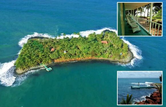 You could buy an ENTIRE private island with villa & staff for £100k less than the price of a flat in London | The Sun