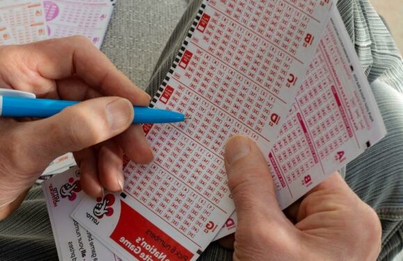 Youve been playing lottery wrong – expert shares how to increase chance of win