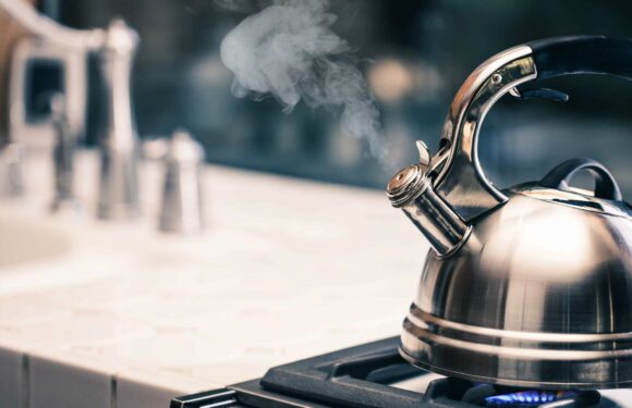 You’ve been using your kettle all wrong – the kitchen appliances driving up energy bills and how to fix it | The Sun