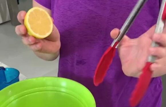 You've been squeezing your lemons all wrong… the right way gives loads of juice & you won't have to buy new utensils | The Sun
