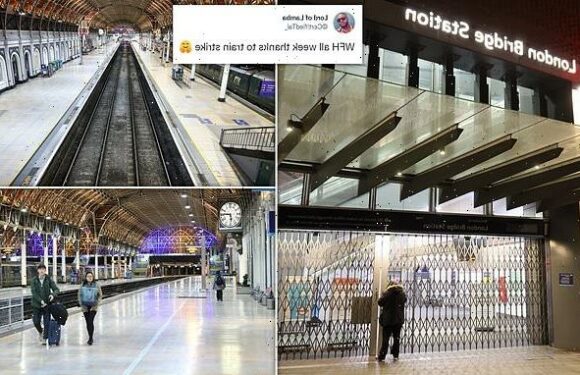 'I love train strikes… I've been WFH all week!': Workers rejoice