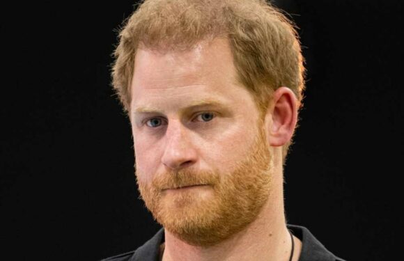 'Millions' spent on security for Prince Harry's book so it doesn't leak with measures as intensive as for Harry Potter | The Sun