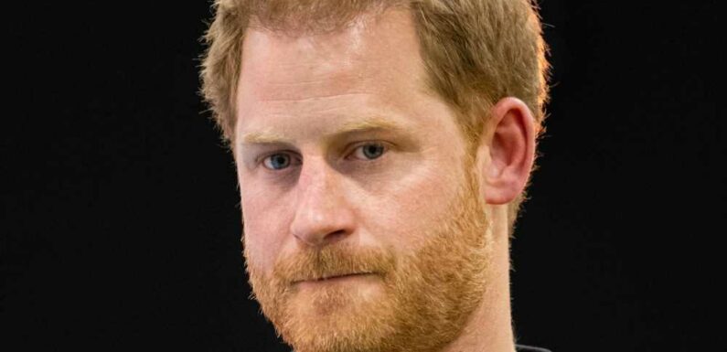 'Millions' spent on security for Prince Harry's book so it doesn't leak with measures as intensive as for Harry Potter | The Sun