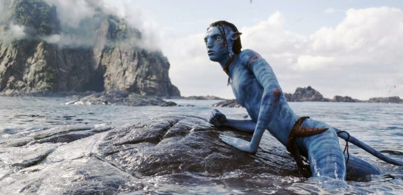 ‘Avatar: The Way Of Water’ Gets Best Pic Nomination, 3 Others; James Cameron Snub Continues Franchise’s Complicated Oscar Journey