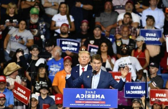 ‘Red wave’ washout: How skewed polls fed a false midterm election narrative