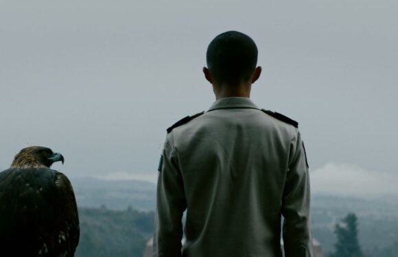 ‘Workforce’ Director David Zonana Tackles Mexico’s Banes in Military Academy Drama-Thriller ‘Heroic’