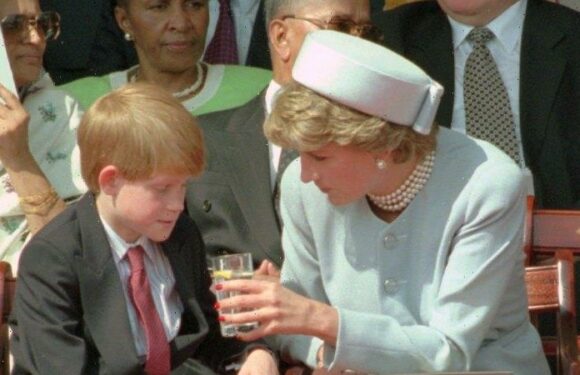 ‘You’re living the life she couldn’t’: Harry claims Diana talked to him from the grave via a medium