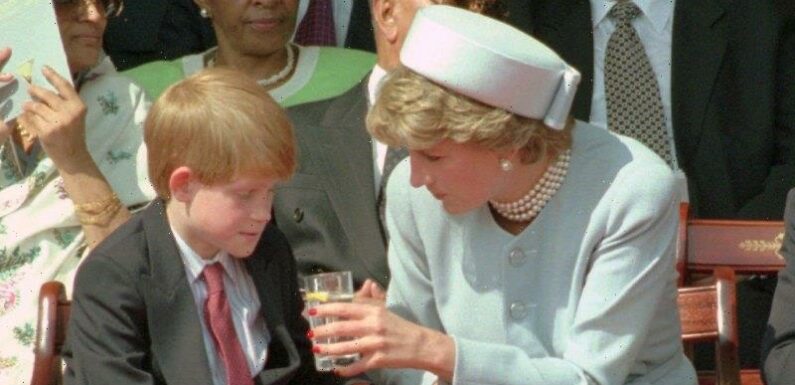 ‘You’re living the life she couldn’t’: Harry claims Diana talked to him from the grave via a medium