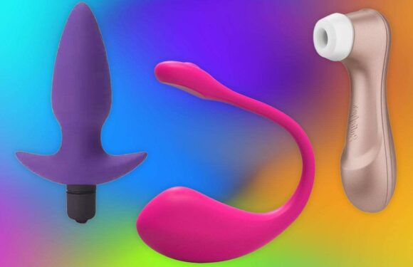 10 Best Vibrators 2023 UK | The Sun