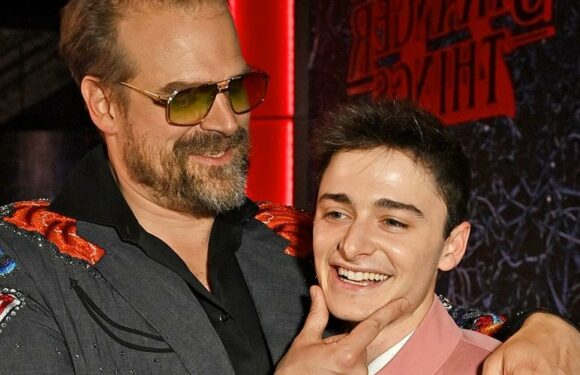 ‘Stranger Things’ Star David Harbour Supports Noah Schnapp After He Came Out