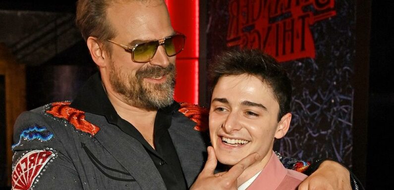 ‘Stranger Things’ Star David Harbour Supports Noah Schnapp After He Came Out