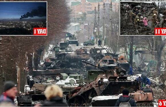 A year of war in photos: Most startling images of Ukraine invasion