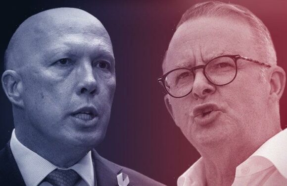 Albanese’s honeymoon period is over, but Dutton still trails