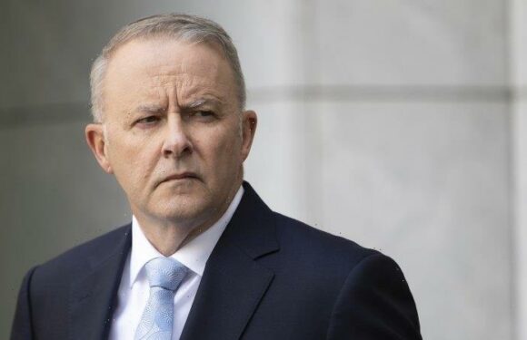 Albanese’s super plan a political wedge he can use again