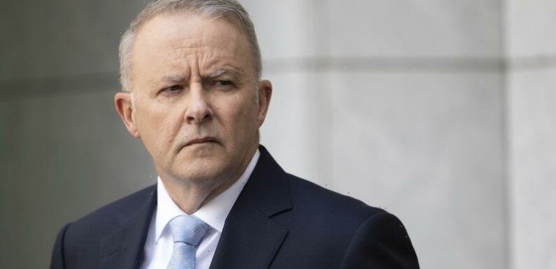 Albanese’s super plan a political wedge he can use again