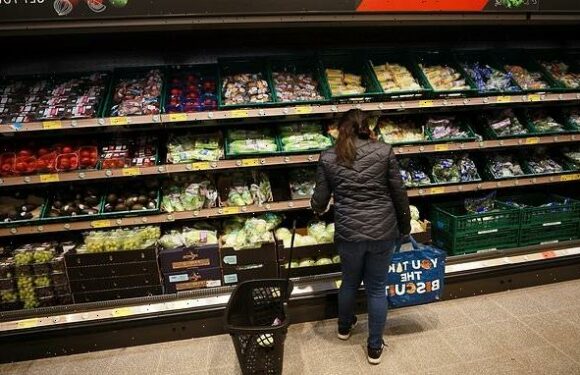 Aldi becomes 3rd supermarket to ration cucumbers, tomatoes and peppers