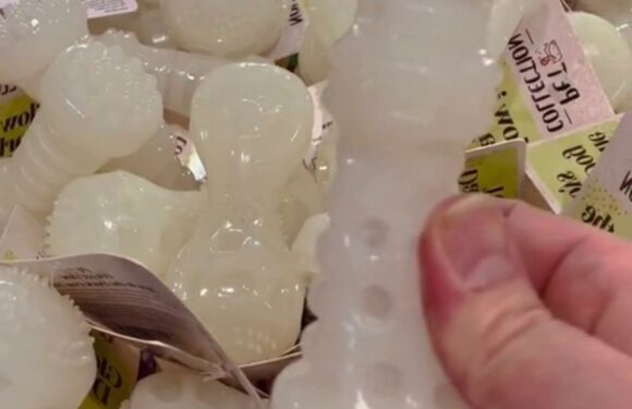 Aldi dog toy leaves people in hysterics as people say it looks very rude – can you see why? | The Sun