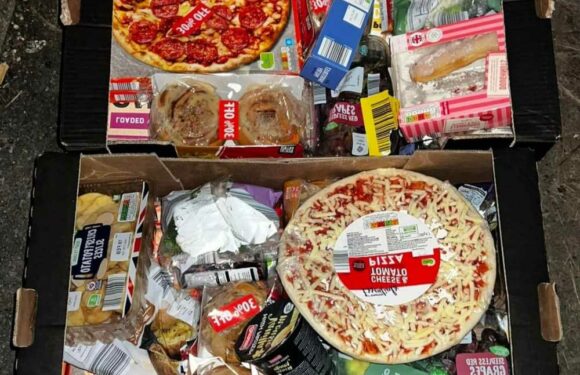 Aldi fans racing to get their hands on a goodie box with pizza, loads of veggies, fruit & pastries – it’s such a bargain | The Sun