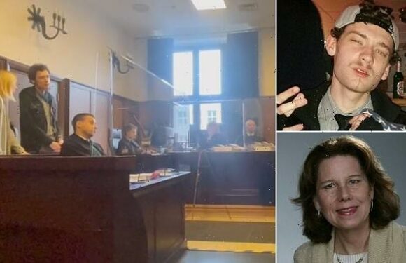 American man on trial for murdering his mother says he's 'no threat'