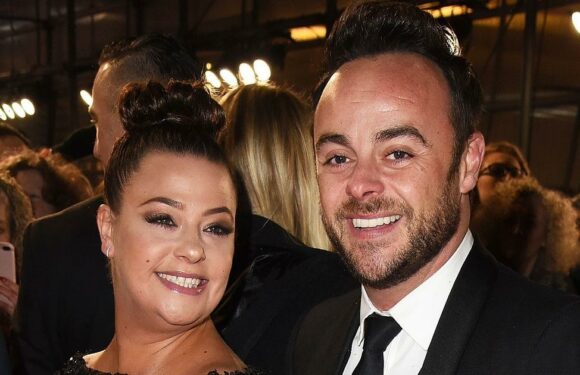 Ant McPartlin and ex-wife Lisa Armstrong in fresh custody battle over Labrador Hurley