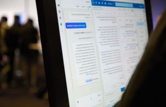 Are you ready to be insulted by a search engine?