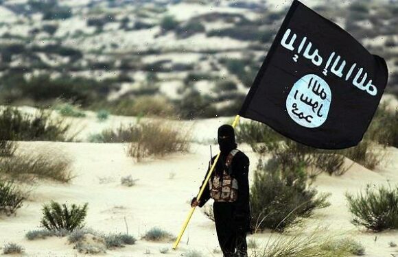 At least 53 truffle hunters in Syria killed in ISIS terror attack