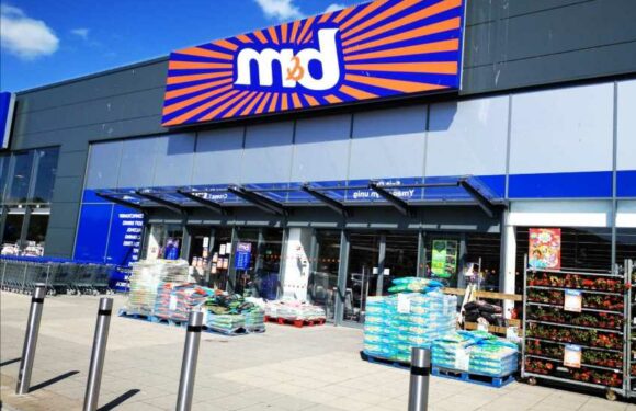 B&M shoppers rush to buy summer must-have that scans at till for £30 instead of £500 | The Sun