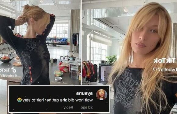 Bella Hadid's no-tie bun tutorial leaves the internet BAFFLED