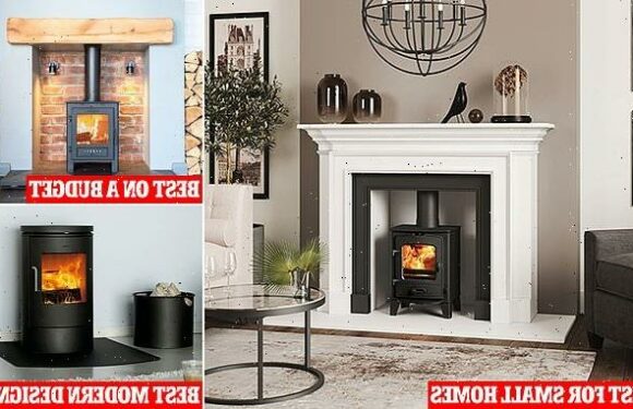 Best wood burner for every setting – from cosy cottage to modern home
