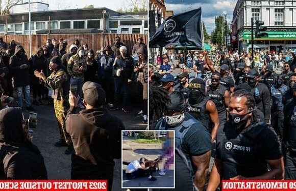 Black Panther-type Forever Family born from 2020 BLM statues turmoil