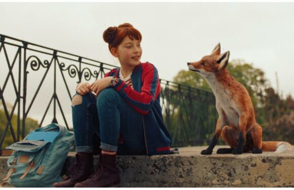 Blue Fox Acquires U.S. Rights to ‘School of Magical Animals’ (EXCLUSIVE)